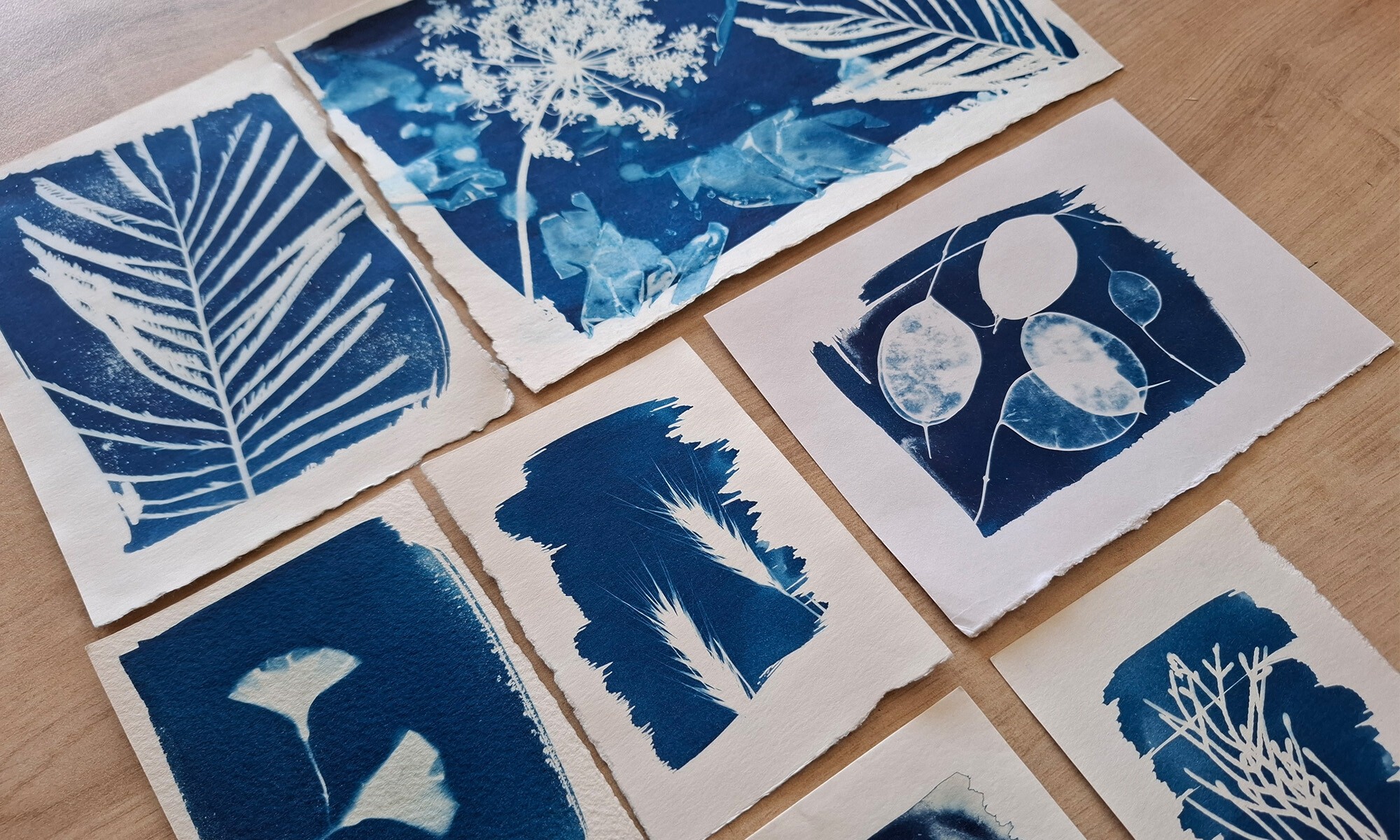 Wecandoo - Créez votre herbier en cyanotype avec Sylvie - Afbeelding nr. 4