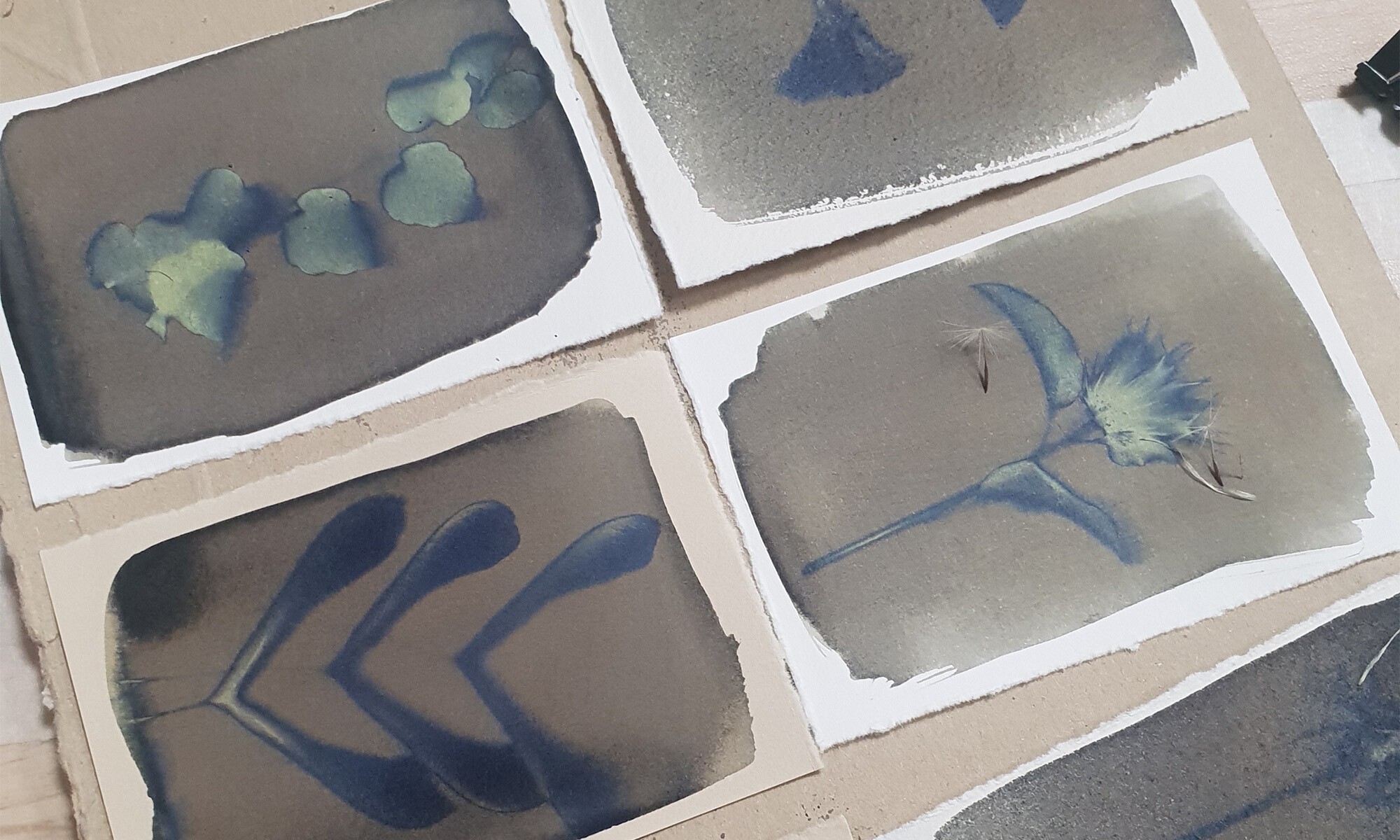 Wecandoo - Créez votre herbier en cyanotype avec Sylvie - Afbeelding nr. 3