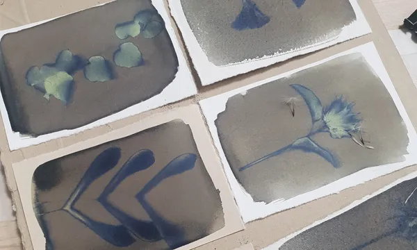 Créez votre herbier en cyanotype avec Sylvie - Afbeelding nr. 3 - Wecandoo