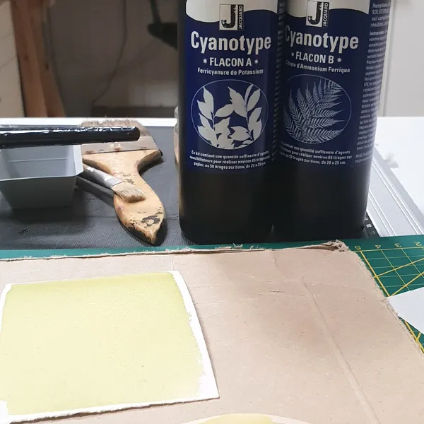 Créez votre herbier en cyanotype avec Sylvie - Afbeelding nr. 2 - Wecandoo