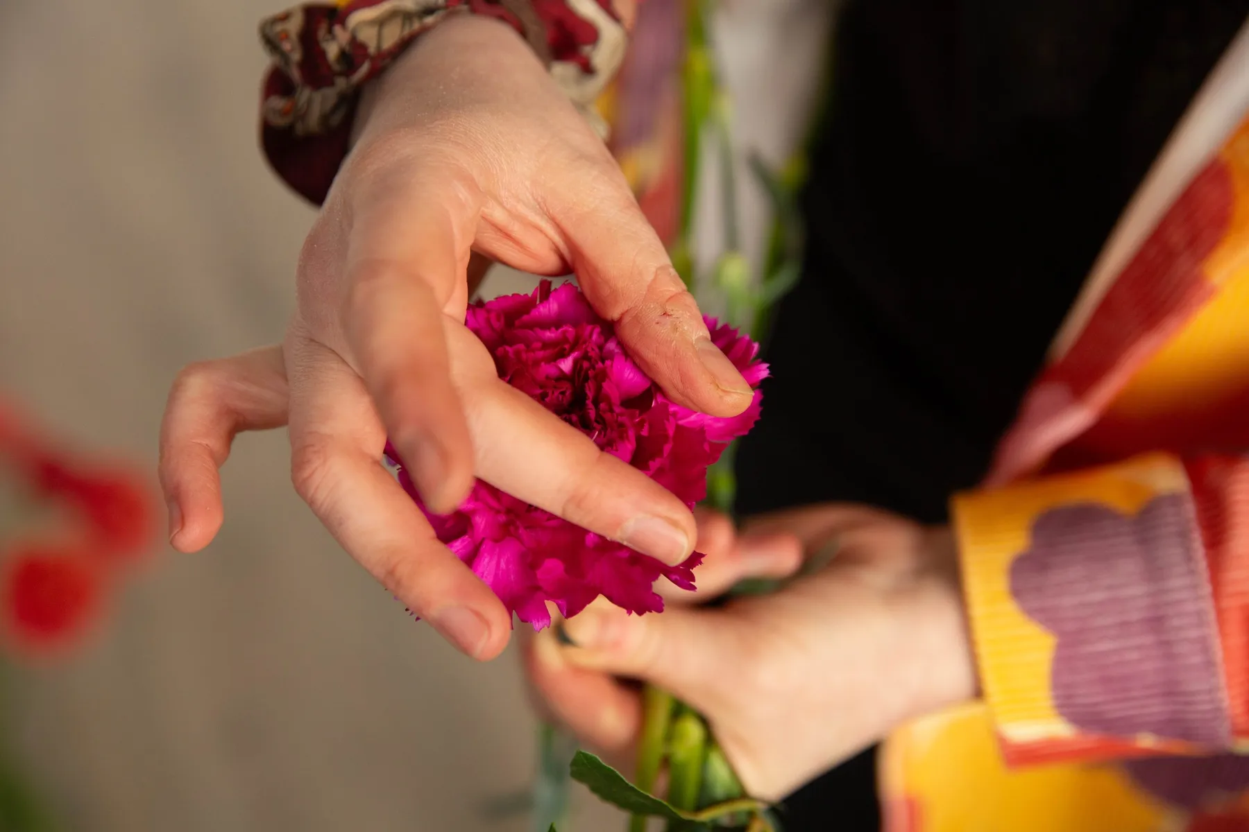 Réalisez votre bouquet de saison avec Lucia - Image n°4 - Wecandoo