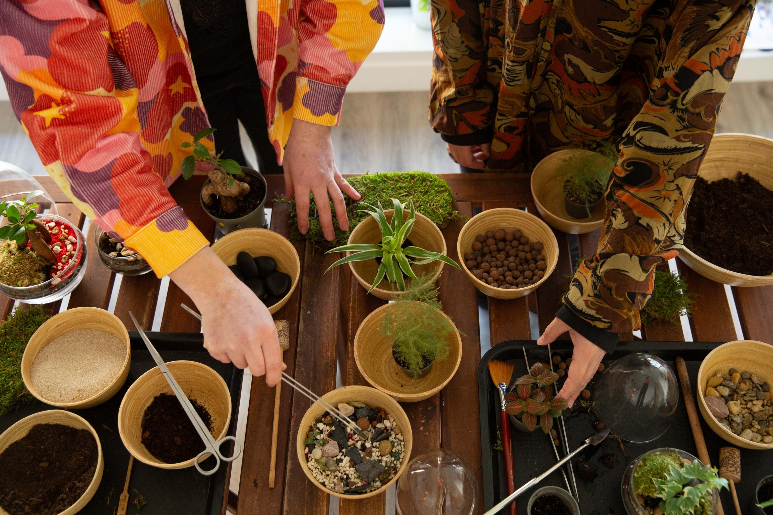 Réalisez votre terrarium avec Lucia - Image n°5 - Wecandoo