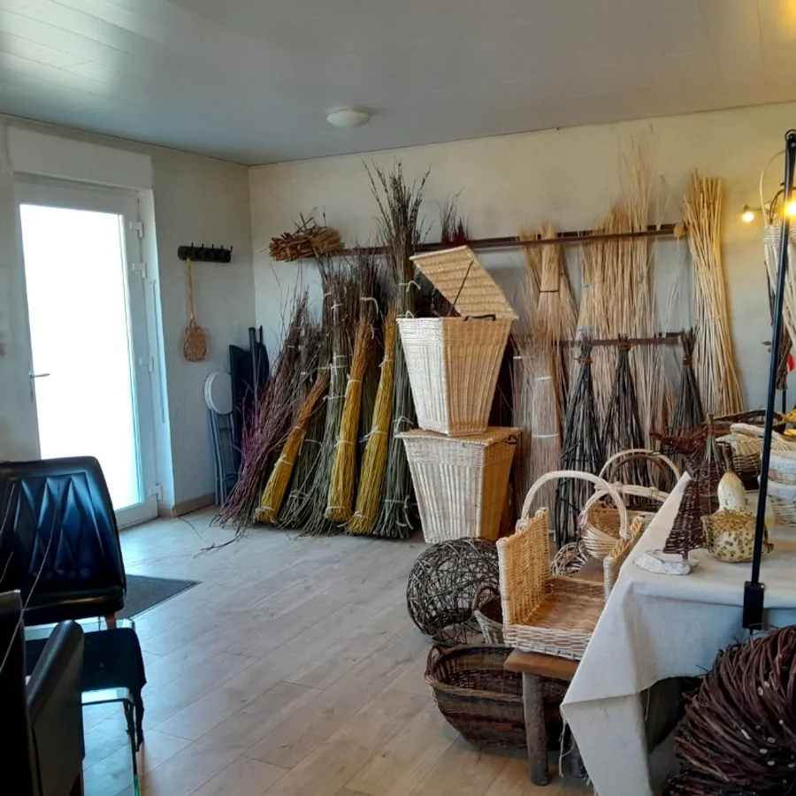 Initiez-vous à la vannerie avec Audrey - Image n°1 - Wecandoo