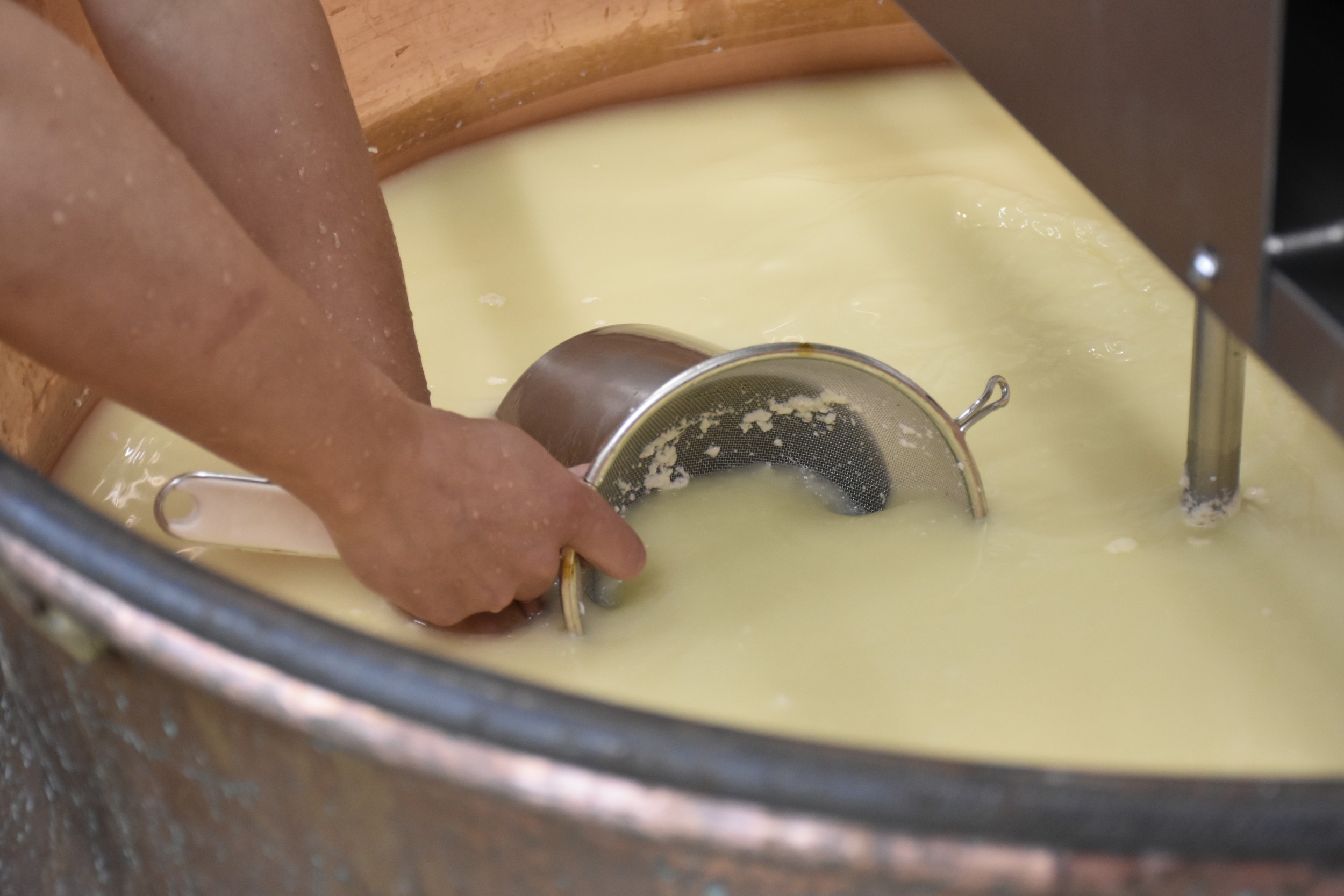 Wecandoo - Initiez-vous à la fabrication de fromage avec Claire - Afbeelding nr. 3