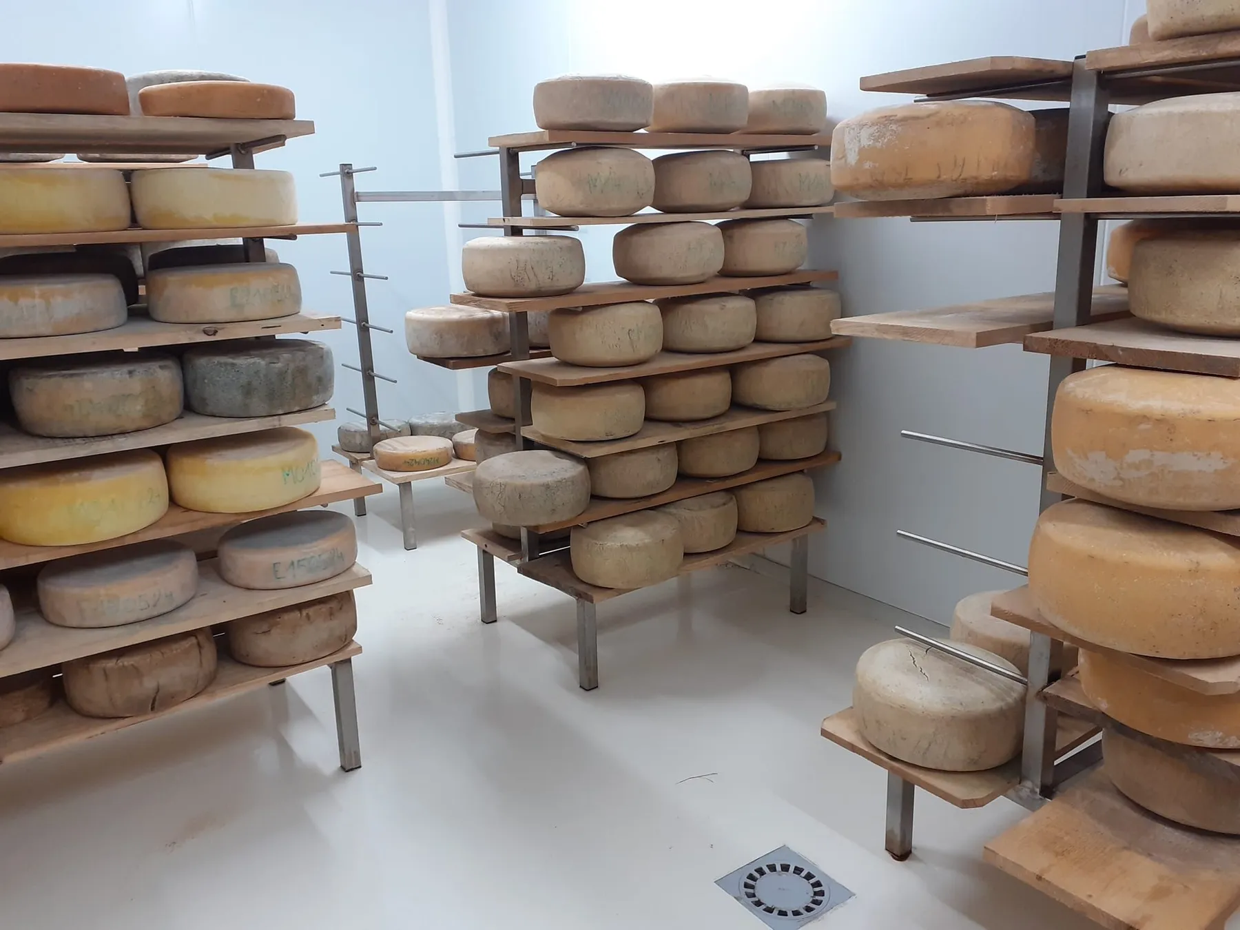 Initiez-vous à la fabrication de fromage avec Claire - Image n°1 - Wecandoo