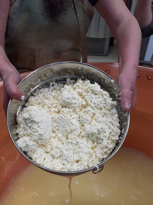 Initiez-vous à la fabrication de fromage avec Claire - Image n°2 - Wecandoo