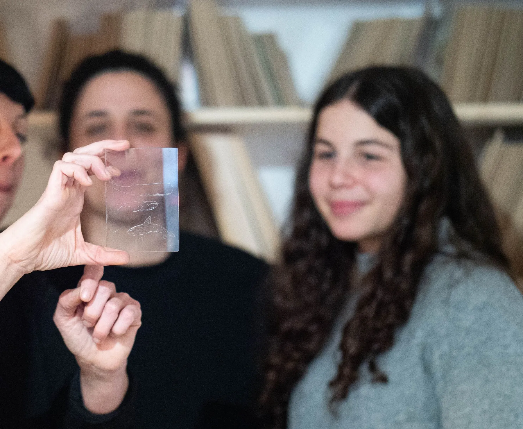 Découvrez la technique de la pointe sèche avec Sterenn - Image n°2 - Wecandoo