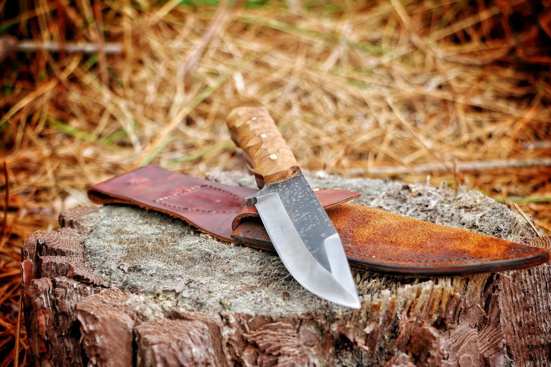 Forgez votre couteau de camp Bushcraft et son étui en cuir sur deux jours avec Eddy - Image n°1 - Wecandoo