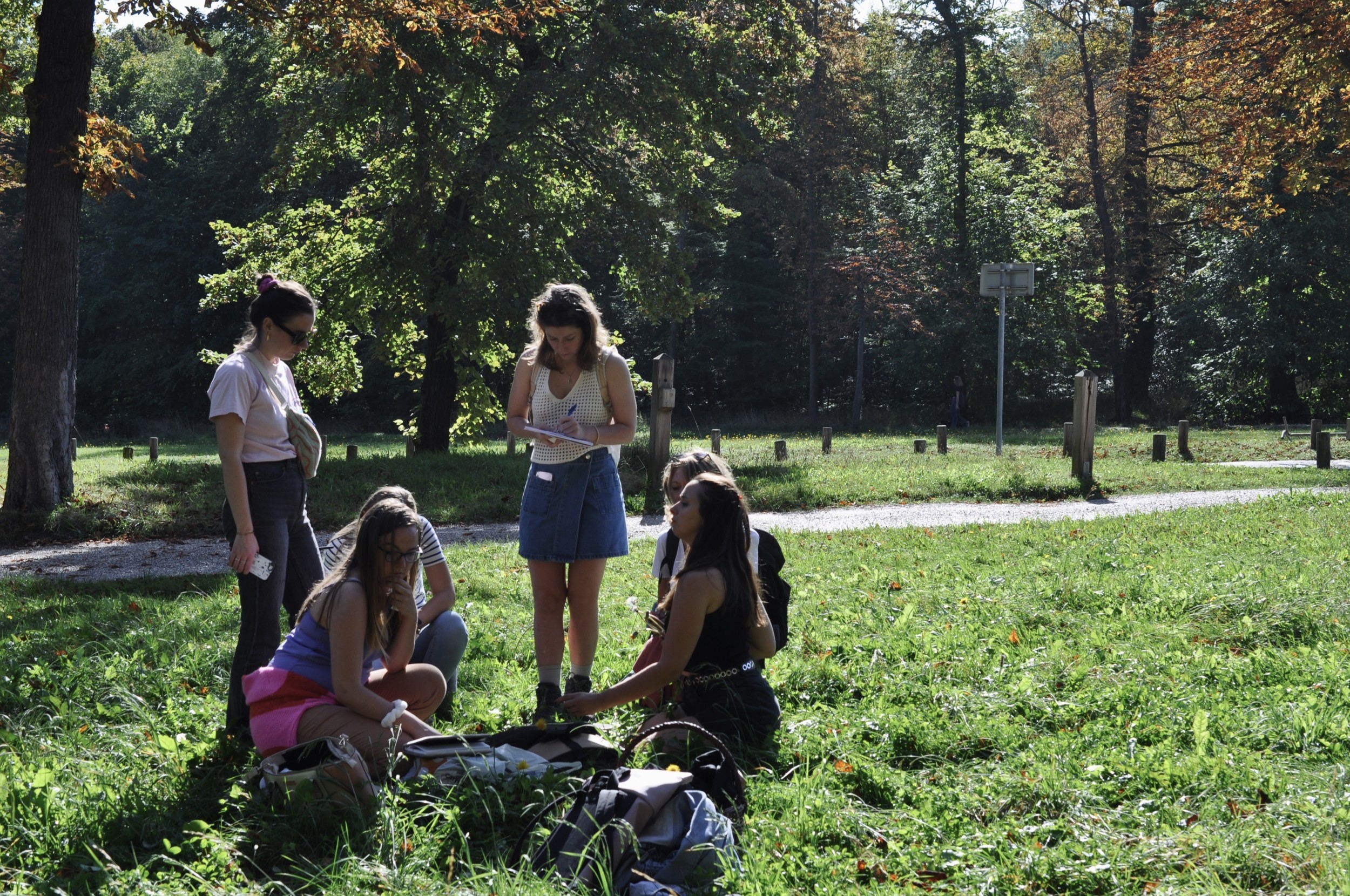 Wecandoo - Découvrez les plantes sauvages comestibles le temps d'une balade dans le parc de Saint-Cloud - Image n°4