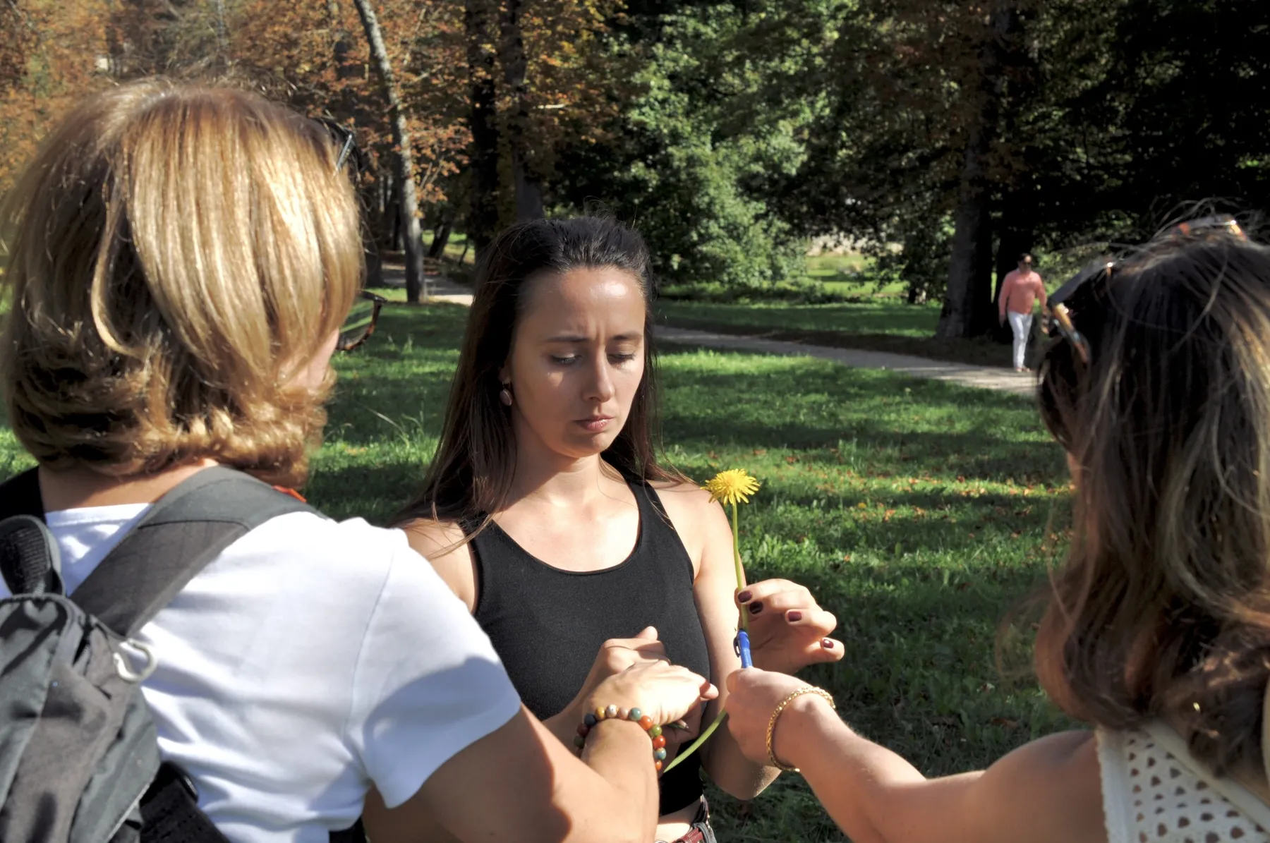 Découvrez les plantes sauvages comestibles le temps d'une balade dans le parc de Saint-Cloud - Image n°2 - Wecandoo