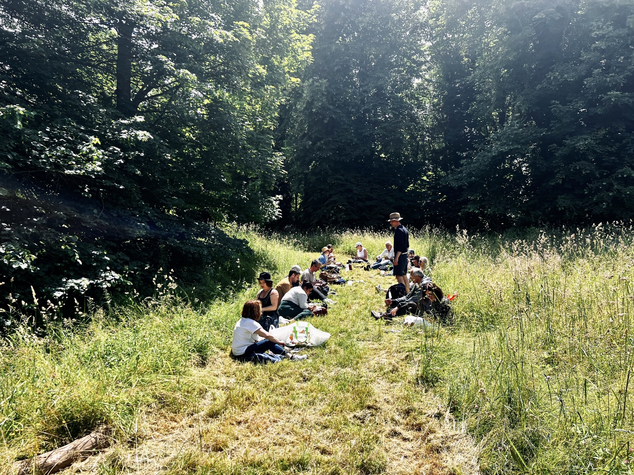 Wecandoo - Découvrez les plantes sauvages comestibles le temps d'une balade dans le parc de Saint-Cloud - Afbeelding nr. 7