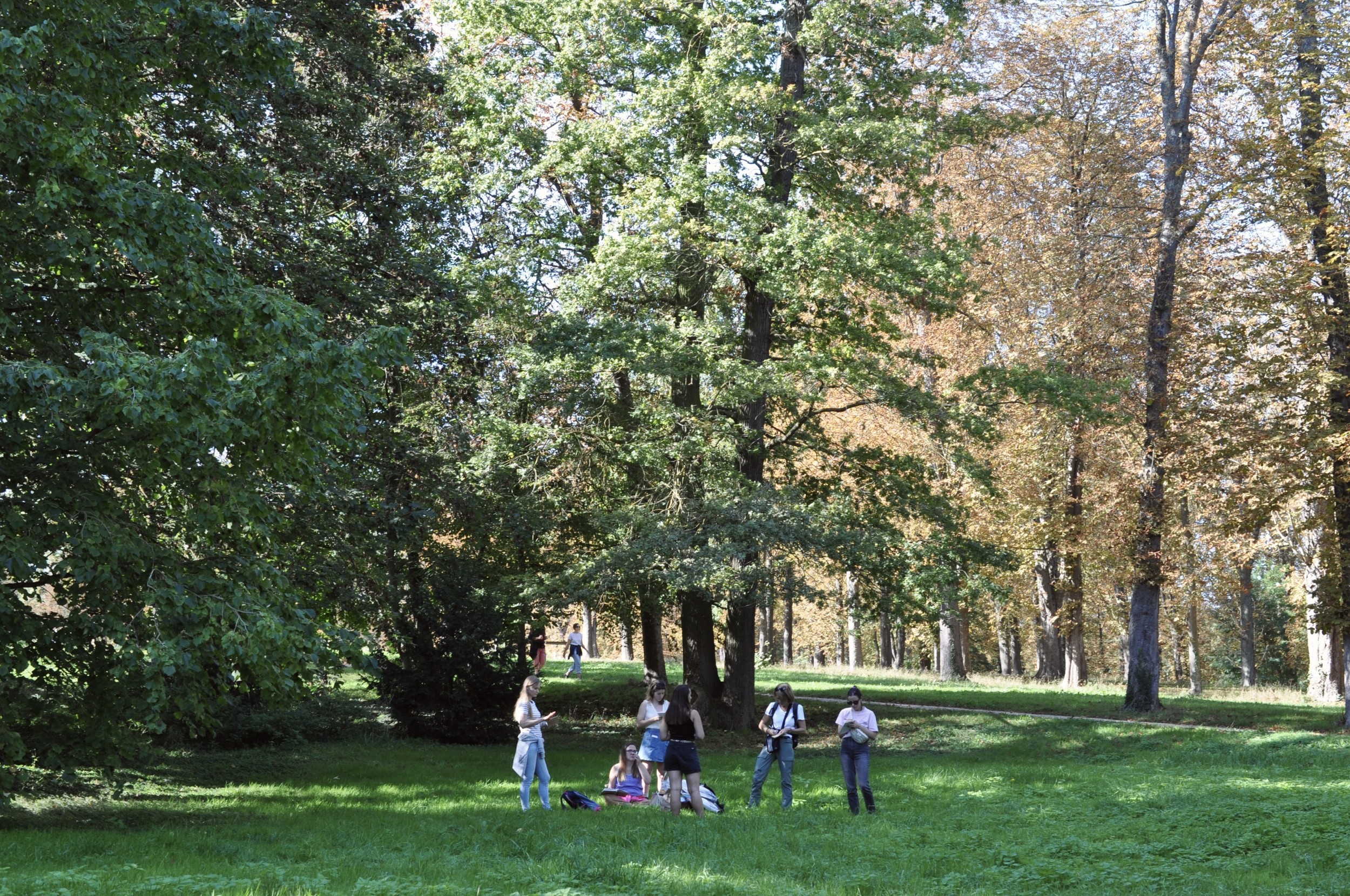 Wecandoo - Découvrez les plantes sauvages comestibles le temps d'une balade dans le parc de Saint-Cloud - Image n°11