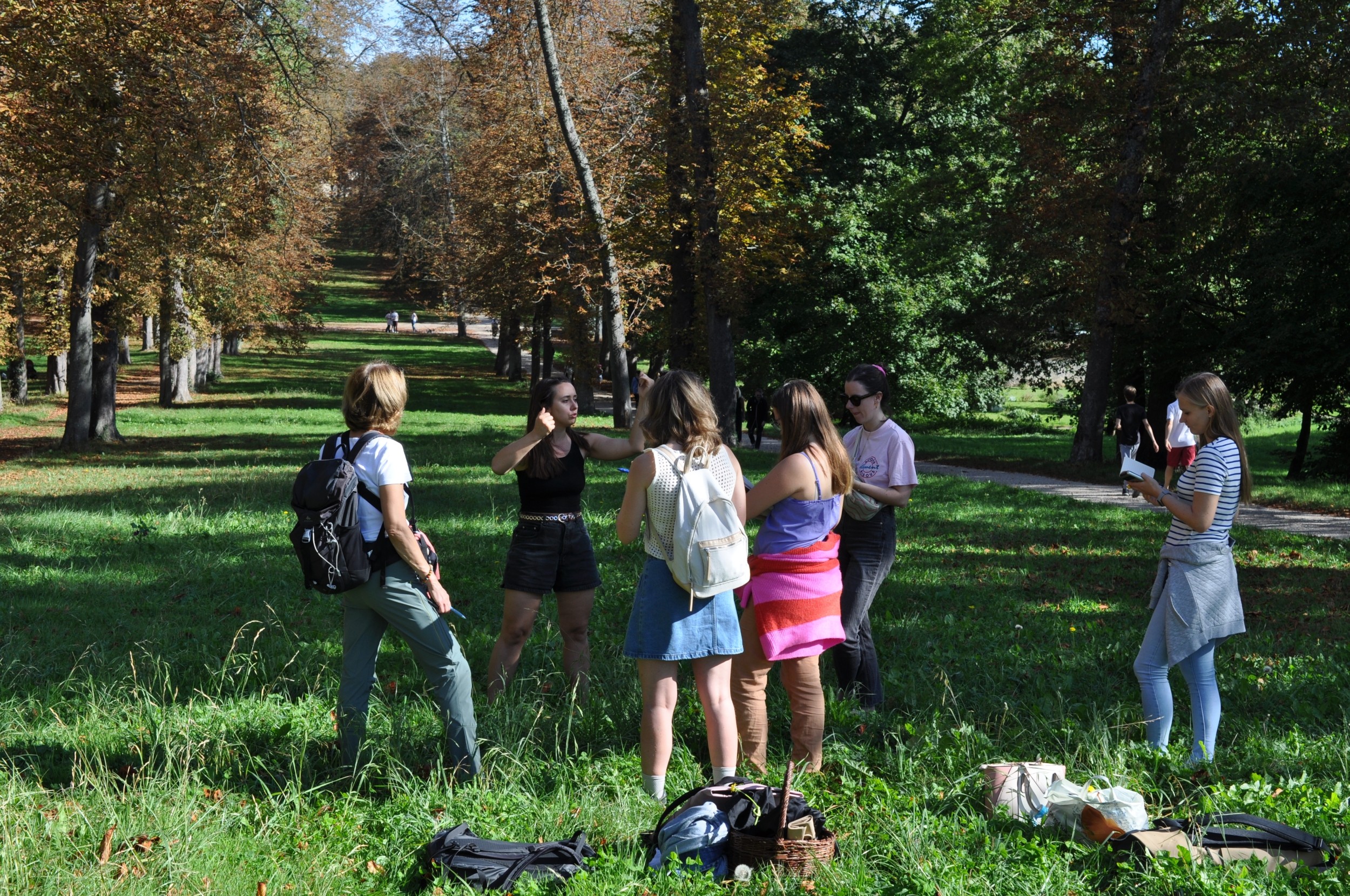 Wecandoo - Découvrez les plantes sauvages comestibles le temps d'une balade dans le parc de Saint-Cloud - Image n°12