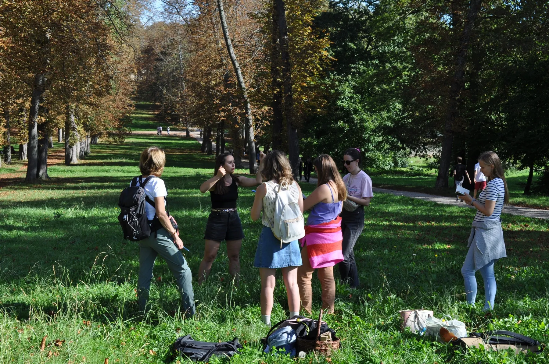 Découvrez les plantes sauvages comestibles le temps d'une balade dans le parc de Saint-Cloud - Image n°3 - Wecandoo