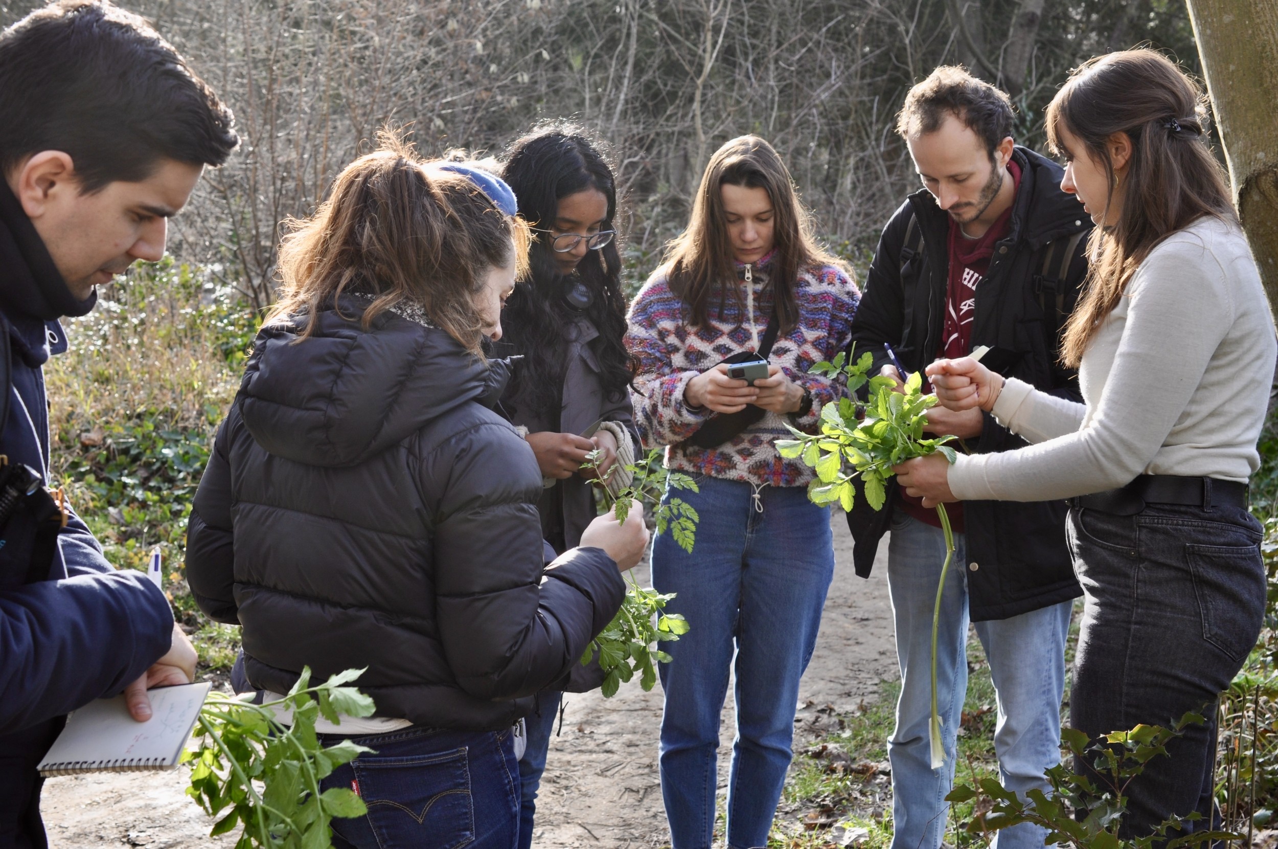 Wecandoo - Vivez la vie de cueilleur dans le bois de Vincennes - Image n°1