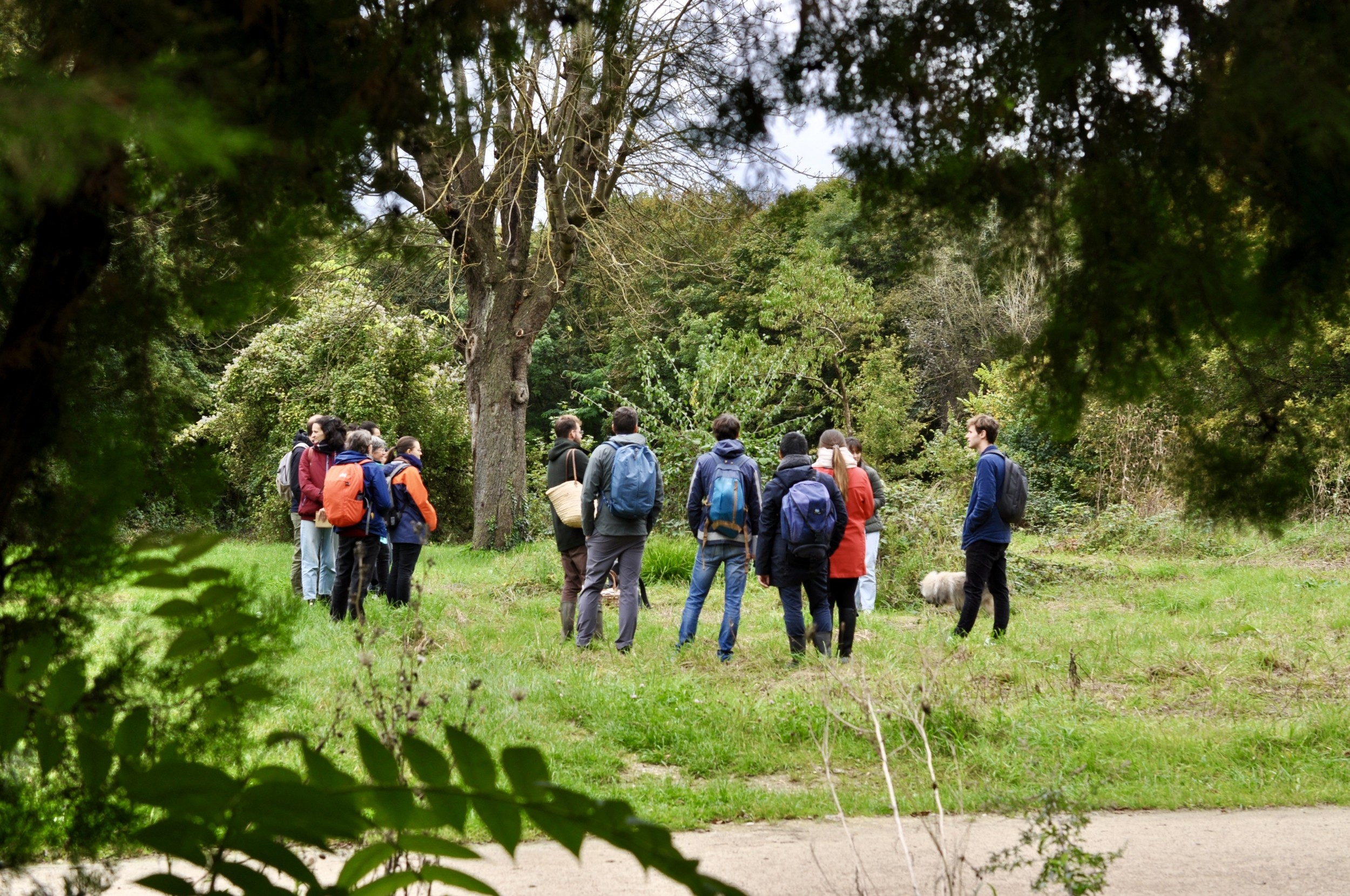 Wecandoo - Vivez la vie de cueilleur dans le bois de Vincennes - Afbeelding nr. 2