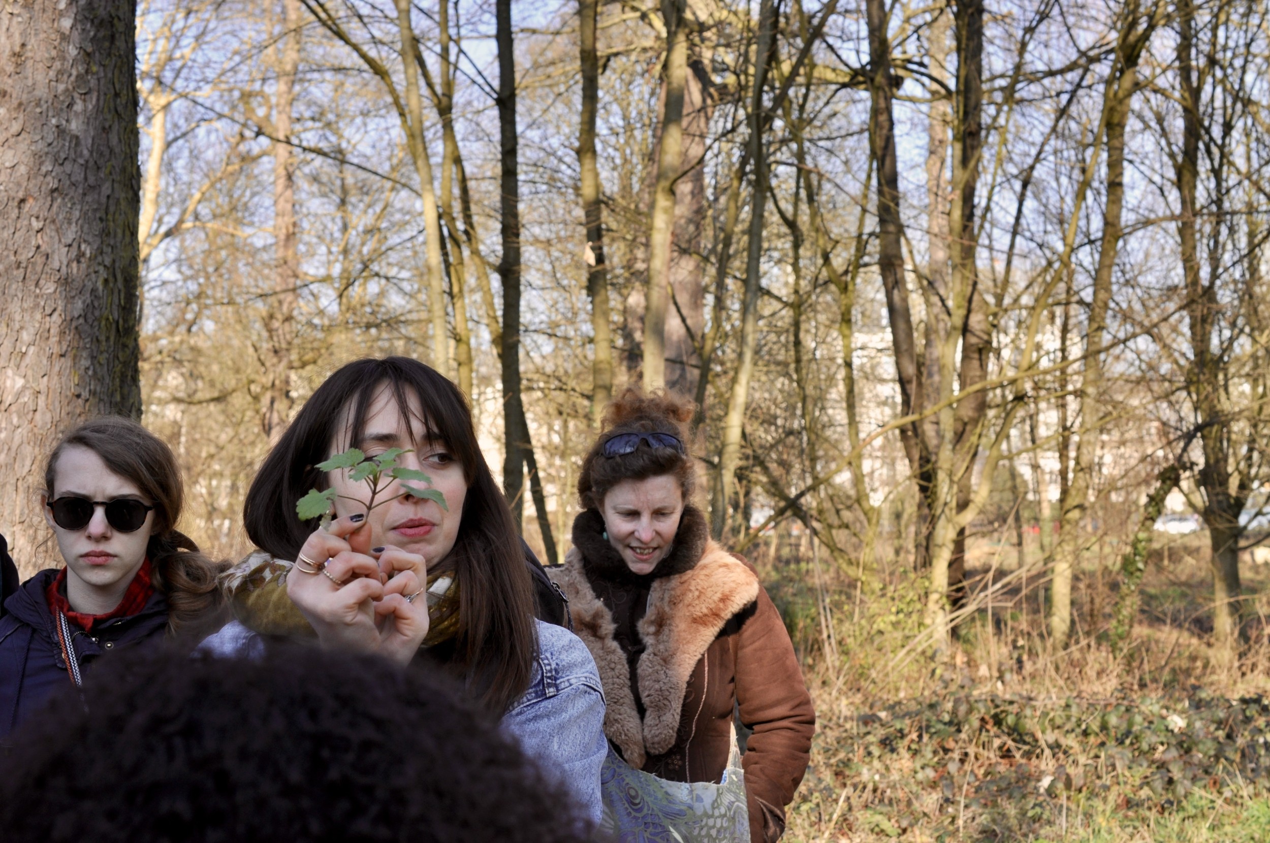 Wecandoo - Vivez la vie de cueilleur dans le bois de Vincennes - Afbeelding nr. 7