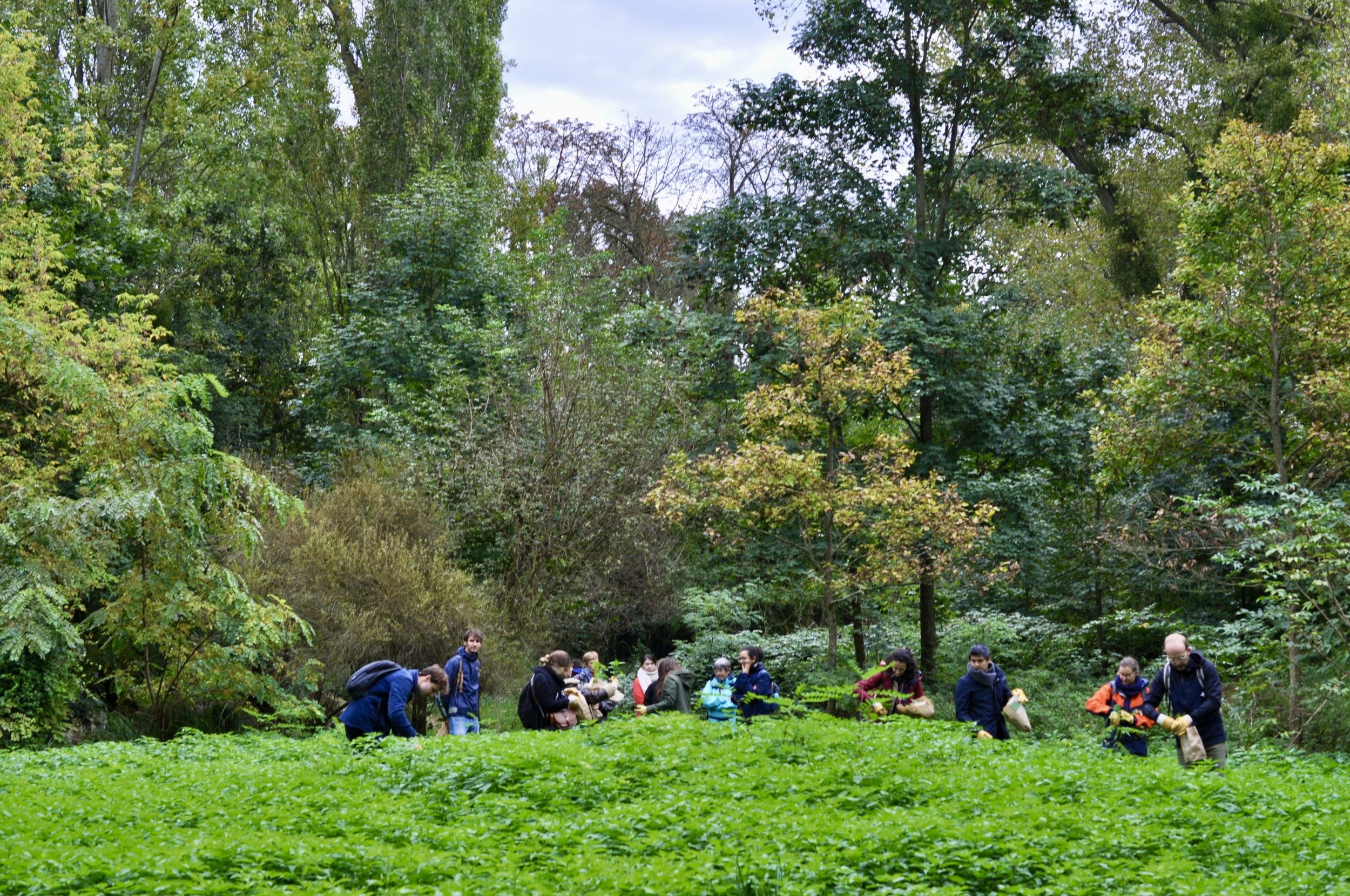 Wecandoo - Vivez la vie de cueilleur dans le bois de Vincennes - Image n°9