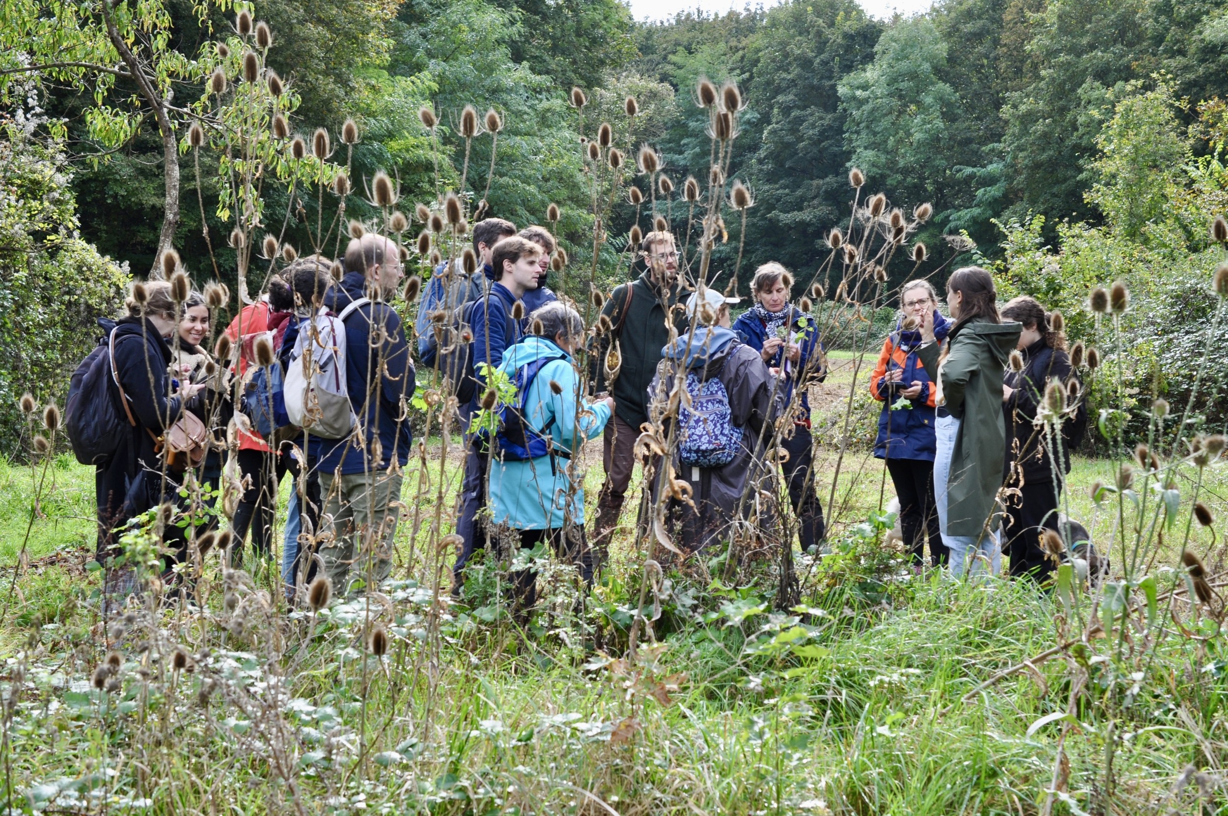 Wecandoo - Vivez la vie de cueilleur dans le bois de Vincennes - Image n°11