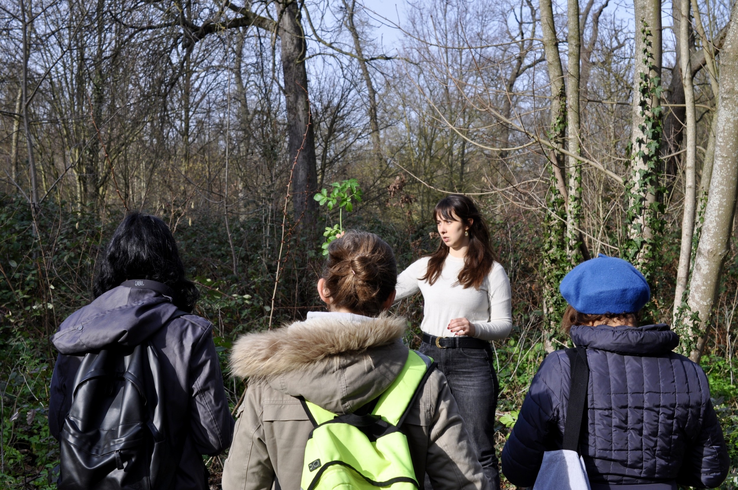 Wecandoo - Découvrez les plantes sauvages le temps d'une balade dans le bois de Vincennes - Image n°1