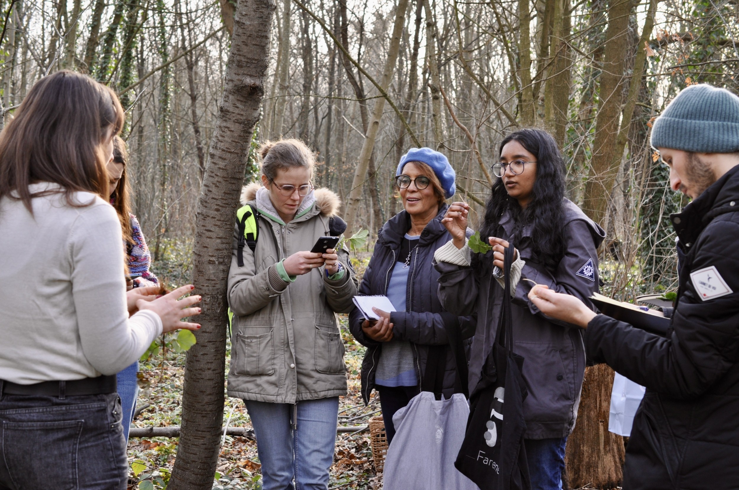 Wecandoo - Découvrez les plantes sauvages le temps d'une balade dans le bois de Vincennes - Image n°2