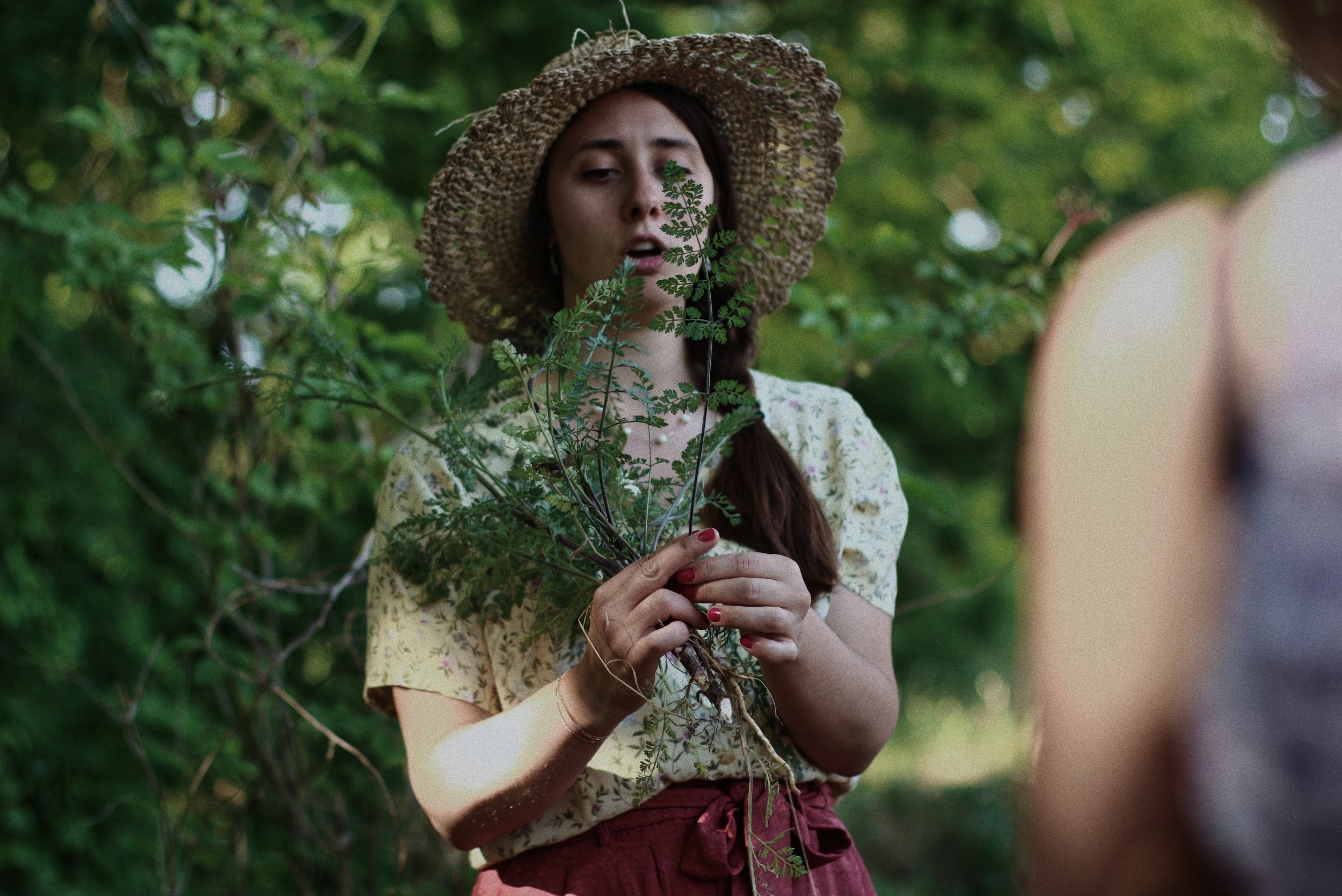 Wecandoo - Découvrez les plantes sauvages le temps d'une balade dans le bois de Vincennes - Image n°3