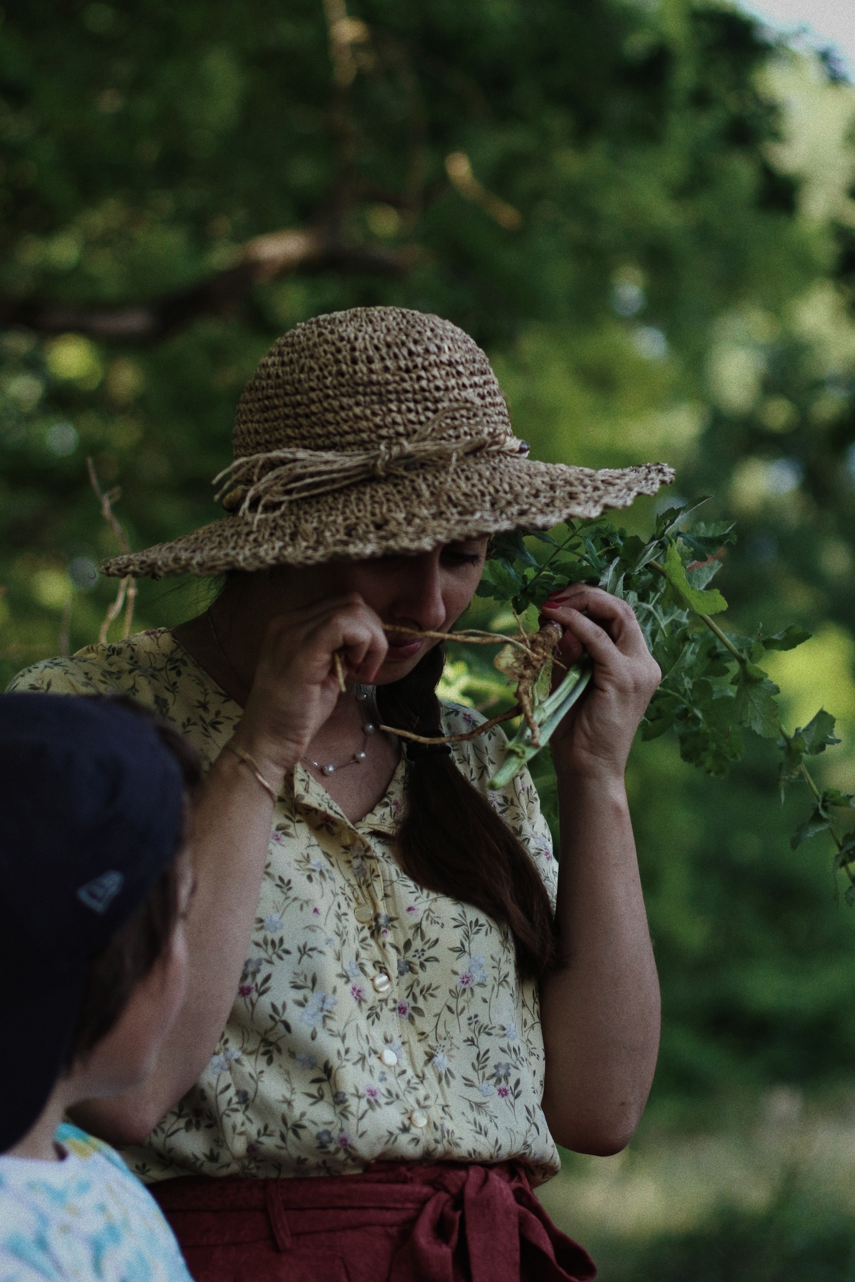 Wecandoo - Découvrez les plantes sauvages le temps d'une balade dans le bois de Vincennes - Image n°5