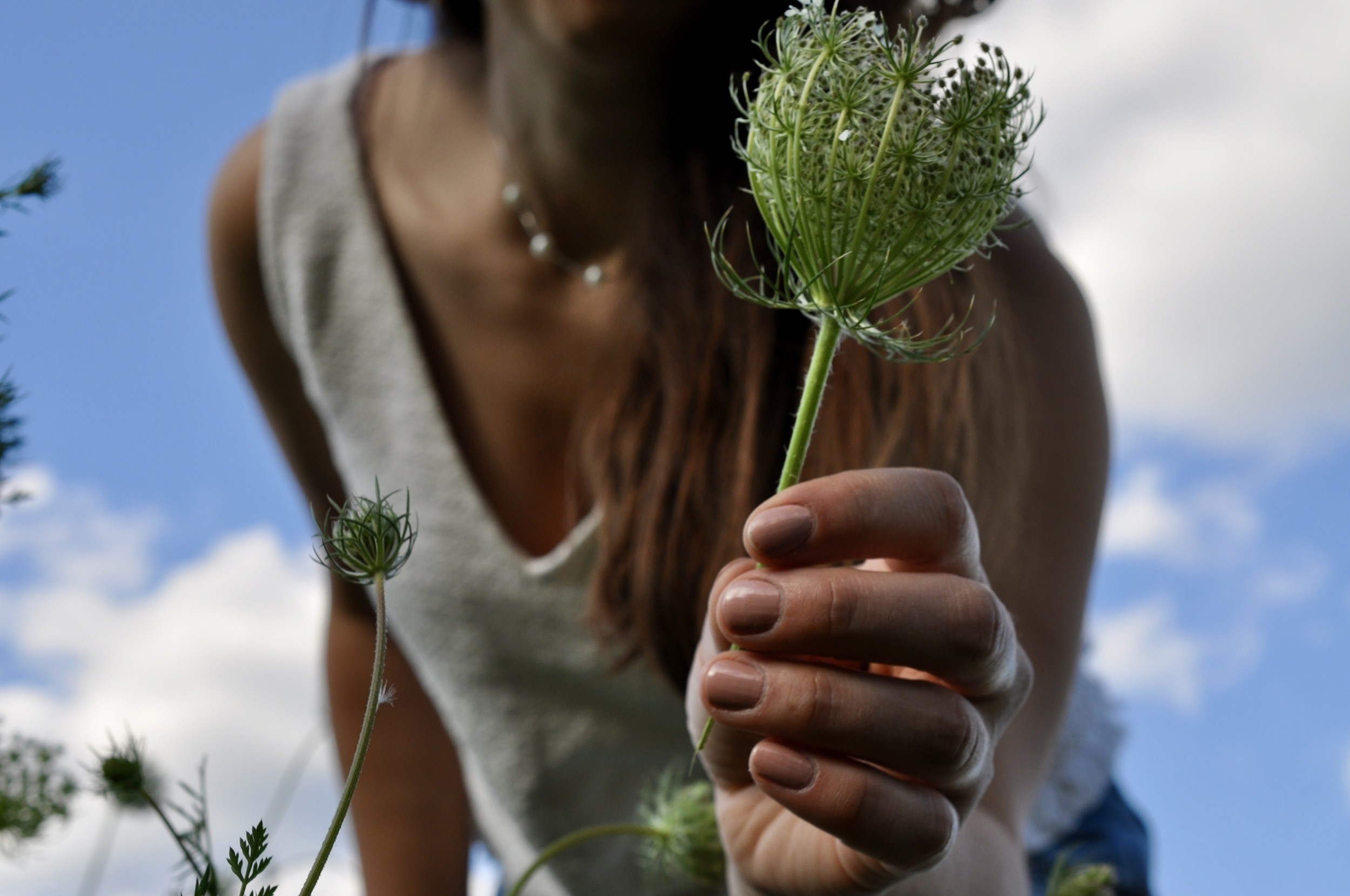 Wecandoo - Découvrez les plantes sauvages le temps d'une balade dans le bois de Vincennes - Image n°6