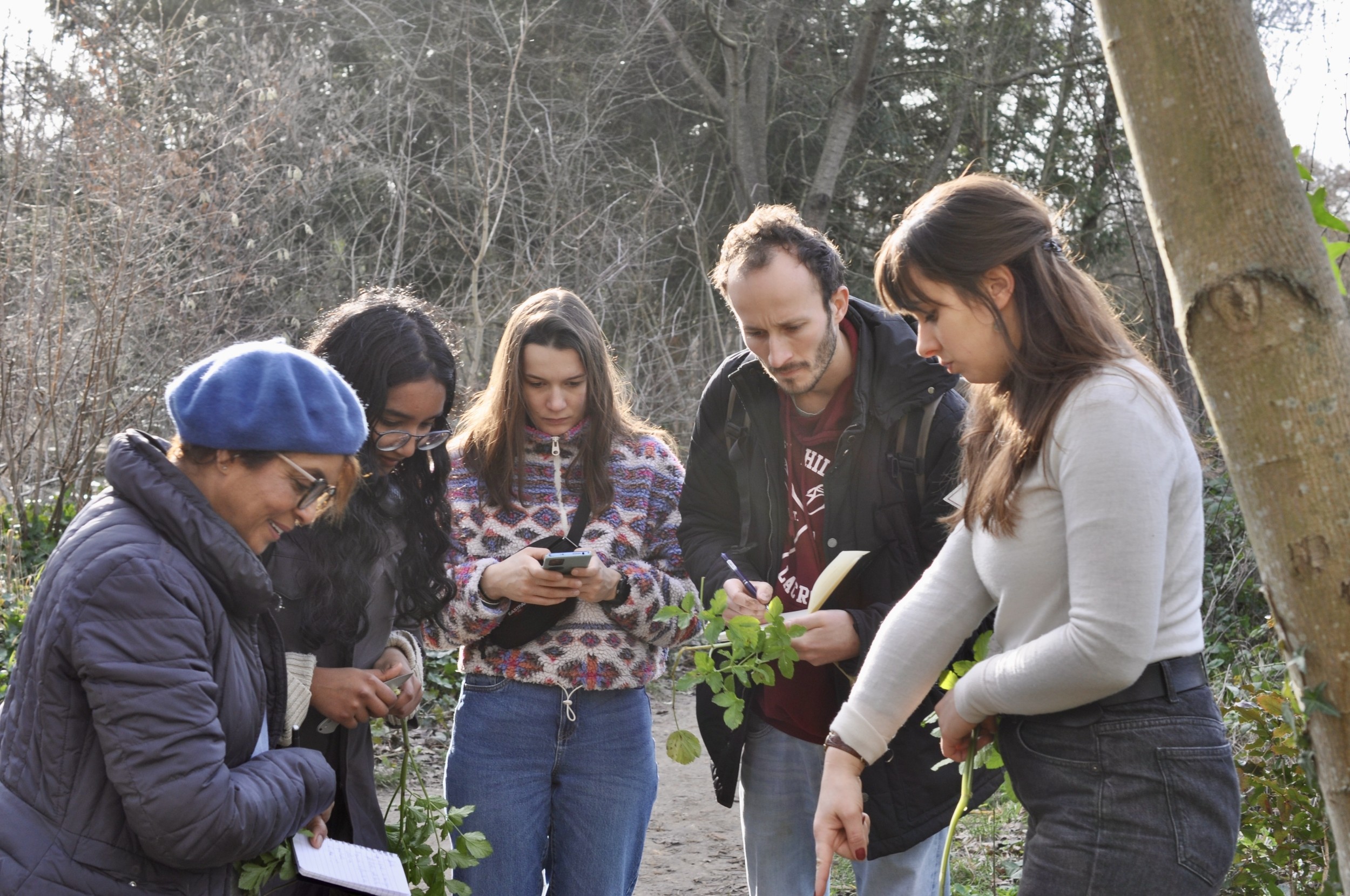 Wecandoo - Découvrez les plantes sauvages le temps d'une balade dans le bois de Vincennes - Image n°8