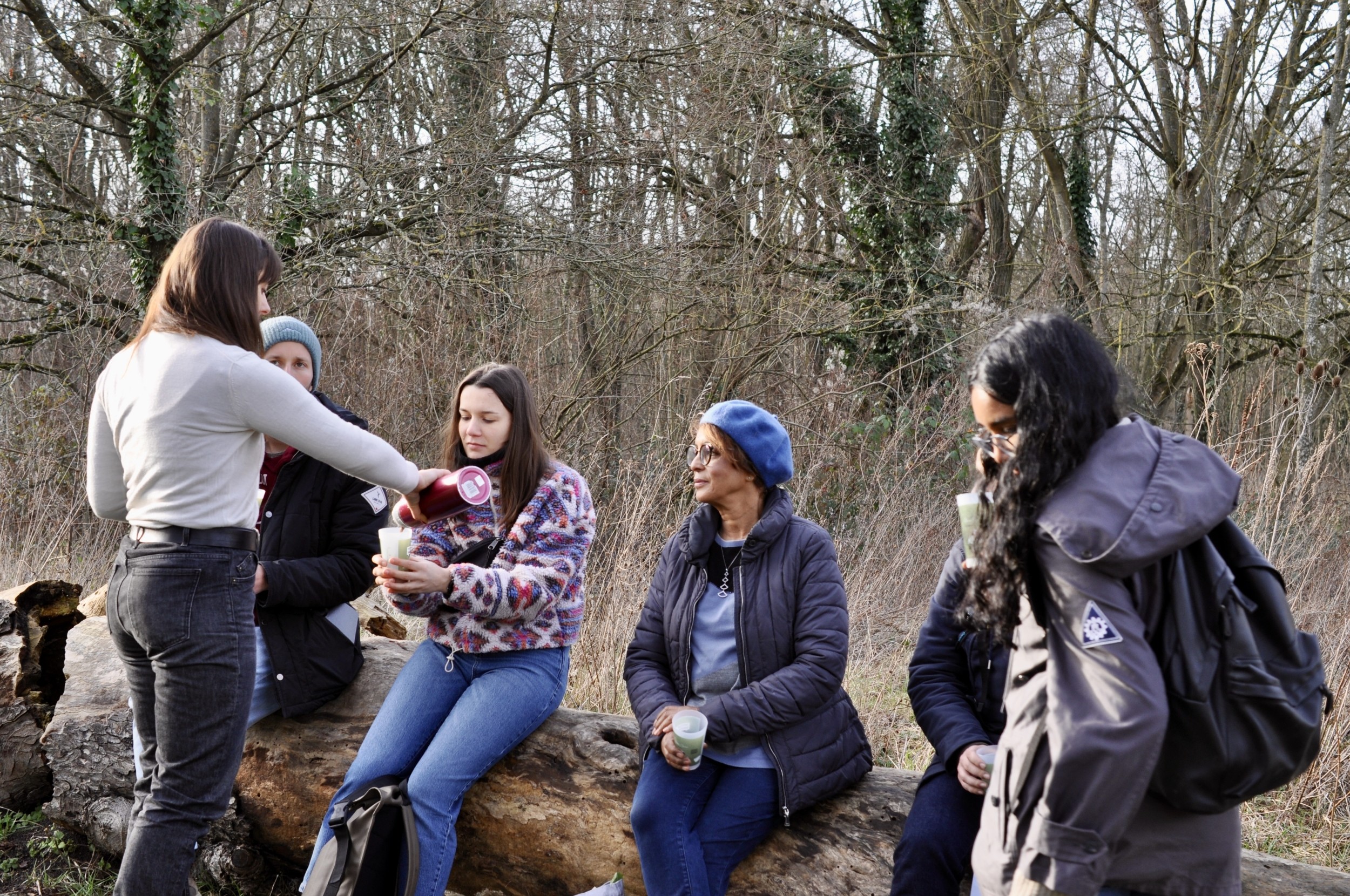 Wecandoo - Découvrez les plantes sauvages le temps d'une balade dans le bois de Vincennes - Image n°10