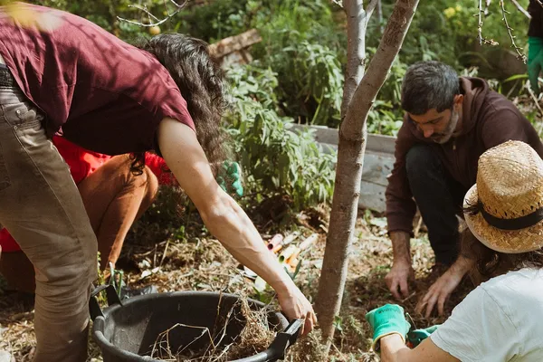 Découvrez une forêt-jardin subtropicale sur une journée avec Olivier - Image n°2 - Wecandoo