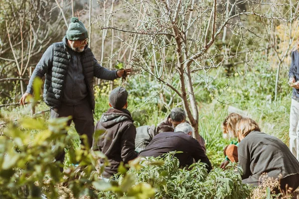 Découvrez une forêt-jardin subtropicale sur une journée avec Olivier - Image n°3 - Wecandoo