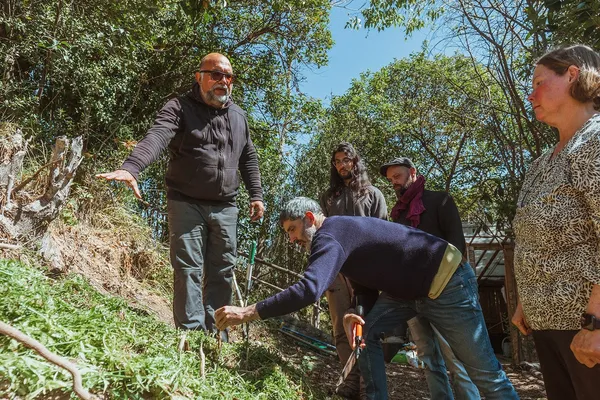 Découvrez une forêt-jardin subtropicale sur une journée avec Olivier - Image n°4 - Wecandoo
