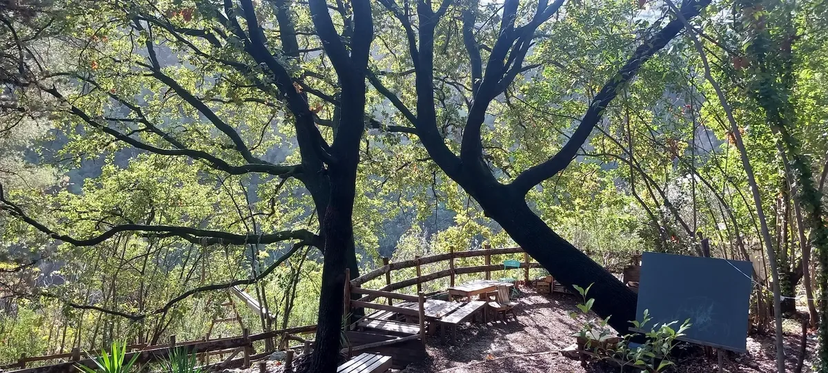 Découvrez une forêt-jardin subtropicale sur un jour
