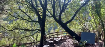 Découvrez une forêt-jardin subtropicale sur un jour
