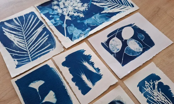 Wecandoo - Créez votre herbier en cyanotype