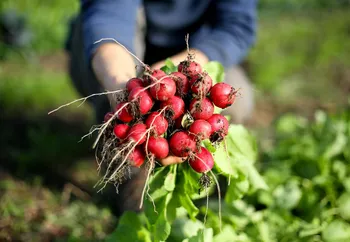 Initiez-vous à la permaculture - 2J