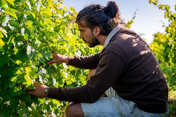 Initiez-vous à la permaculture sur deux jours avec Mathieu, Léna et leur équipe - Image n°5 - Wecandoo