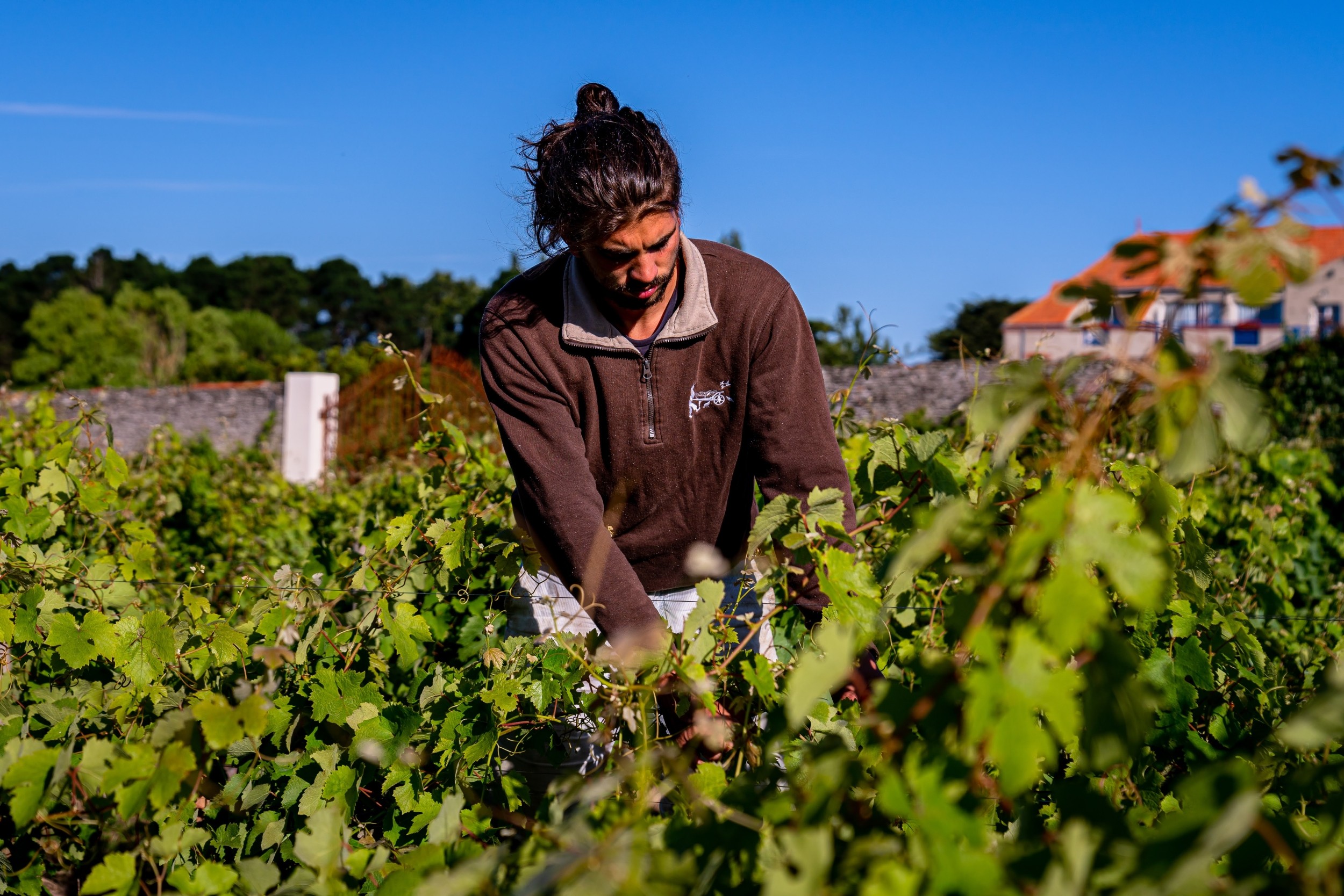 Wecandoo - Initiez-vous à la permaculture sur deux jours avec Mathieu, Anaïs, Léna, Arnaud et leur équipe - Image n°8