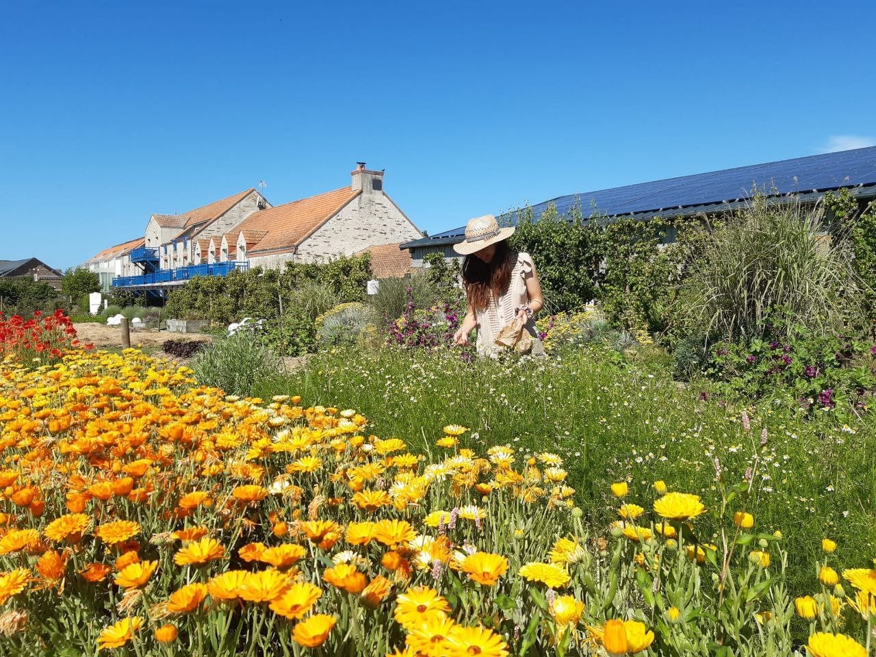 Wecandoo - Initiez-vous à la permaculture sur deux jours avec Mathieu, Anaïs, Léna, Arnaud et leur équipe - Image n°9