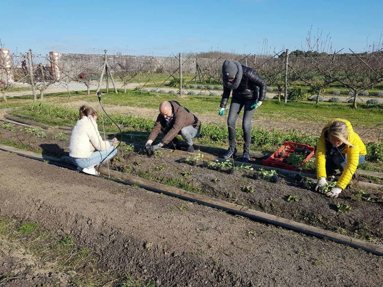 Wecandoo - Initiez-vous à la permaculture sur deux jours avec Mathieu, Anaïs, Léna, Arnaud et leur équipe - Afbeelding nr. 2