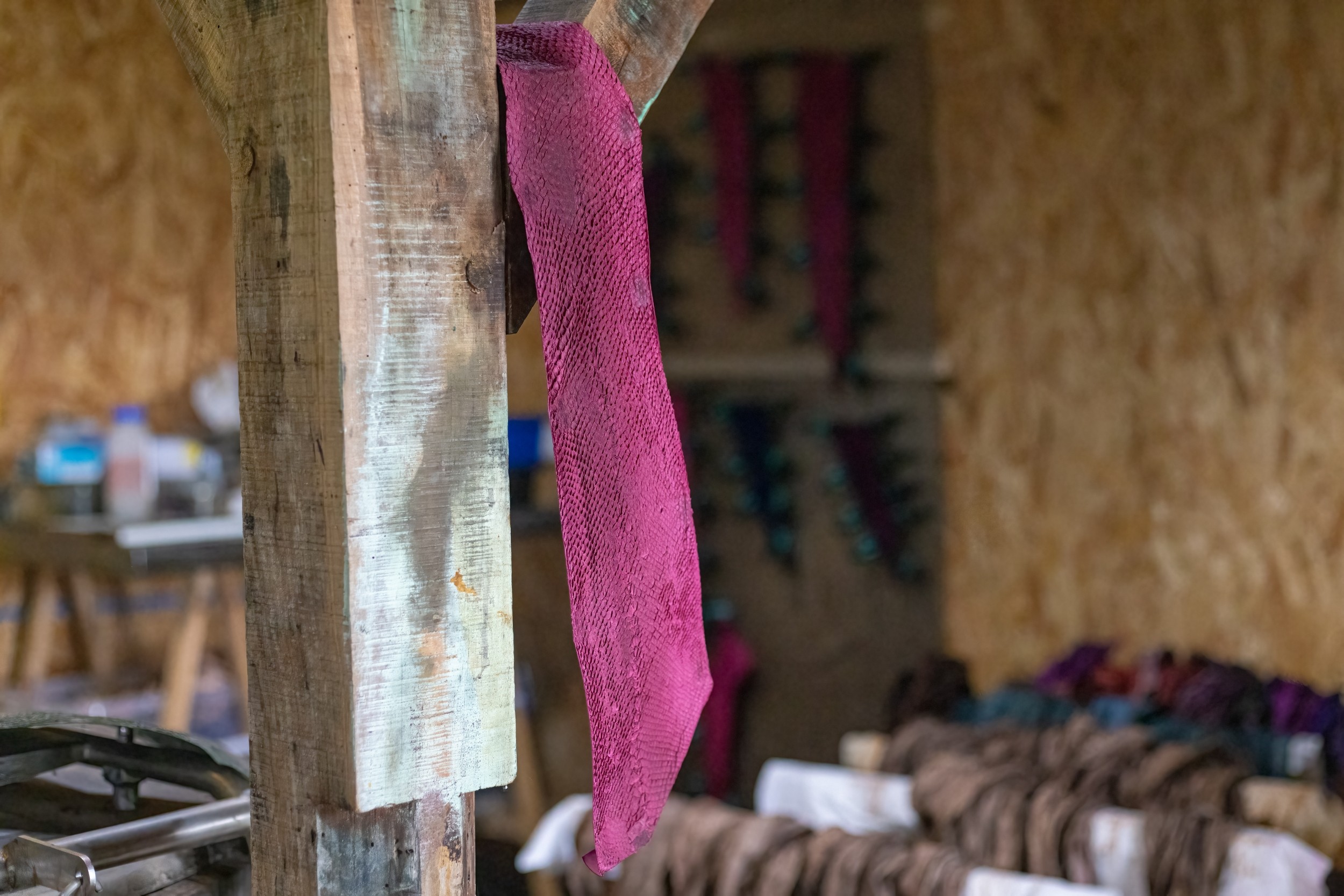 Découvrez le tannage végétal du cuir marin