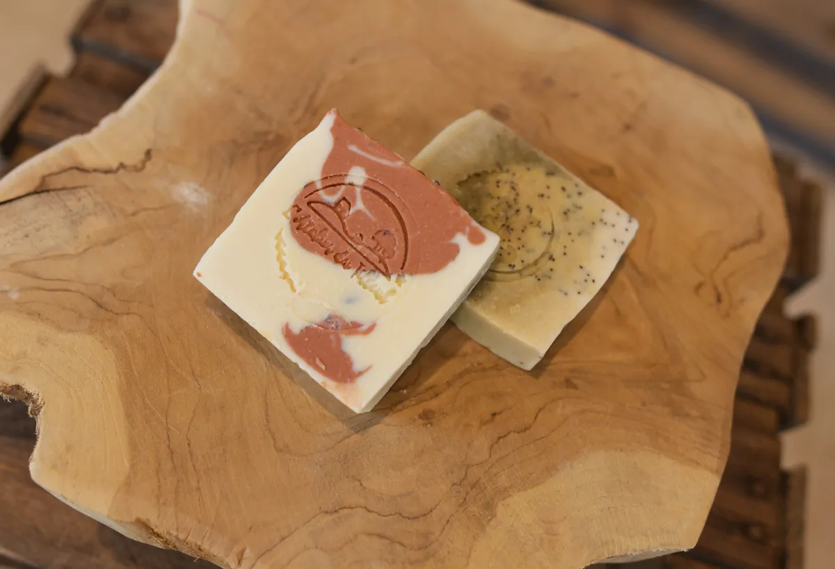 Réalisez votre savon à l'aloe vera