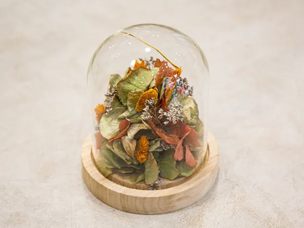 Réalisez votre création en fleurs séchées avec Noémie - Image n°1 - Wecandoo