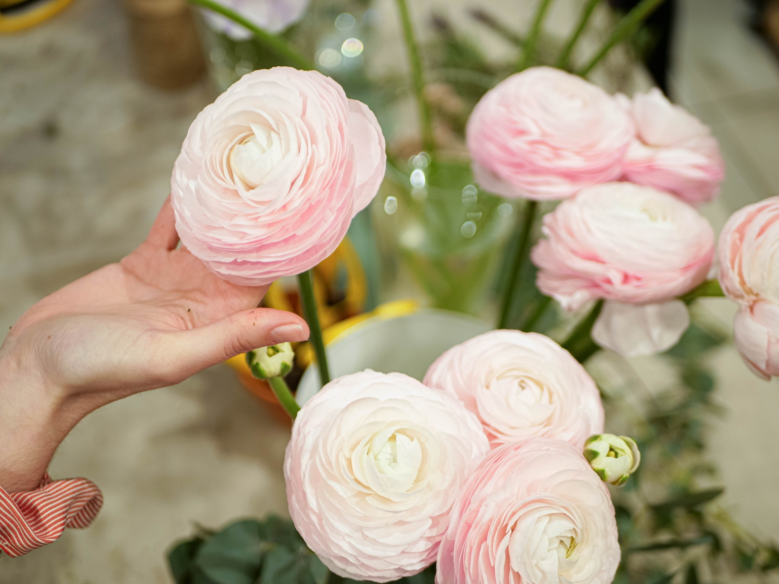 Créez votre bouquet de fleurs fraîches