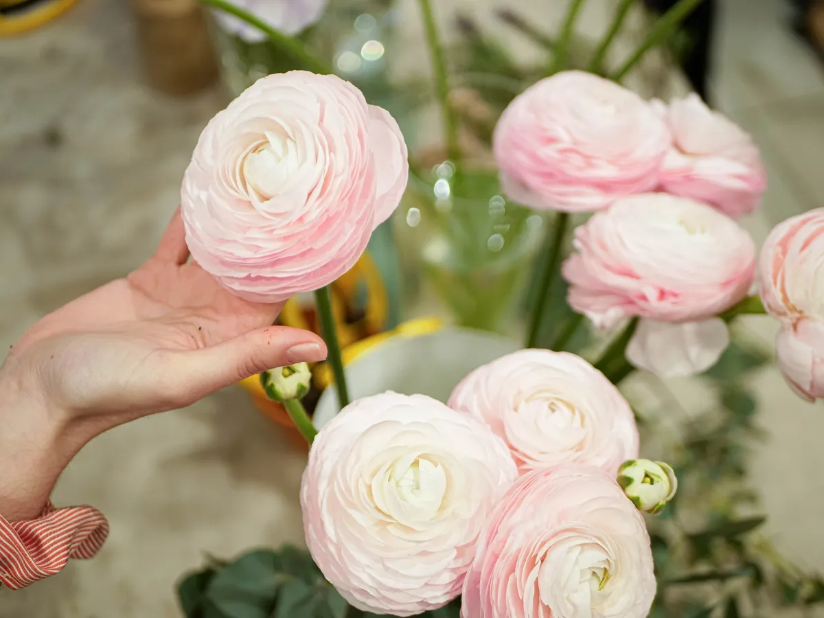 Créez votre bouquet de fleurs fraîches