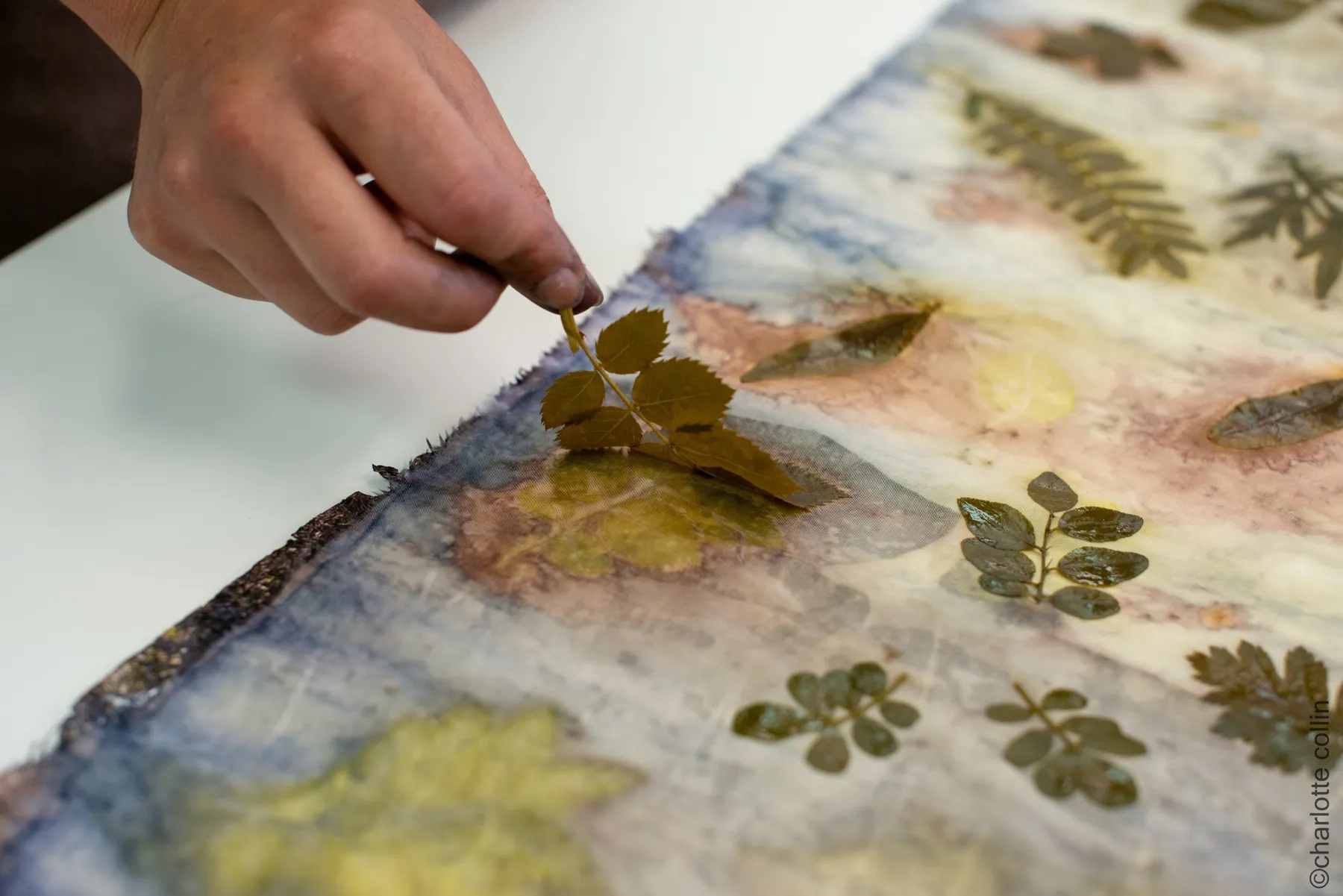 Initiez-vous à l'écoprint avec Abigaël - Image n°3 - Wecandoo