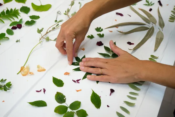 Découvrez les plantes sauvages et initiez-vous aux impressions végétales sur une journée avec Abigaël - Image n°4 - Wecandoo