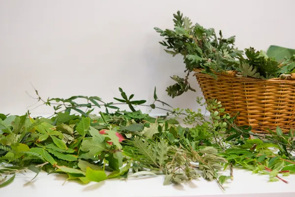 Découvrez les plantes sauvages et initiez-vous aux impressions végétales sur une journée avec Abigaël - Image n°2 - Wecandoo