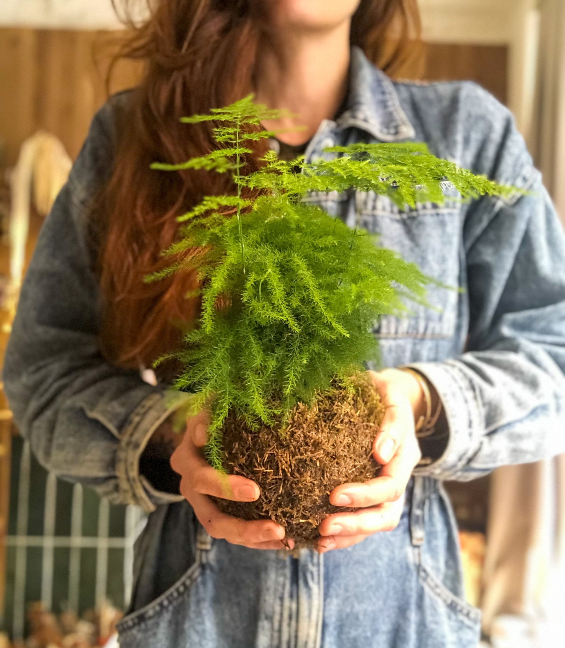 Fabriquez votre kokedama avec Adeline